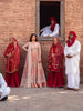 Bin Ilyas Sona Gachi Luxury Wedding Festive Formals – D-604