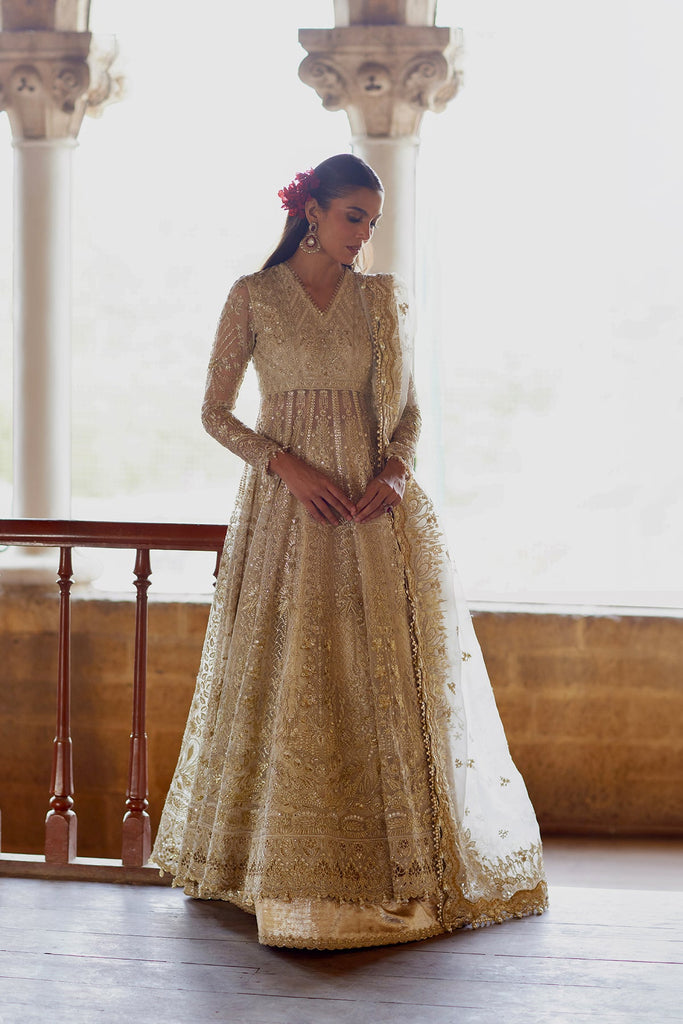 Afrozeh Dastangoi Luxury Wedding Formals – Hikayat