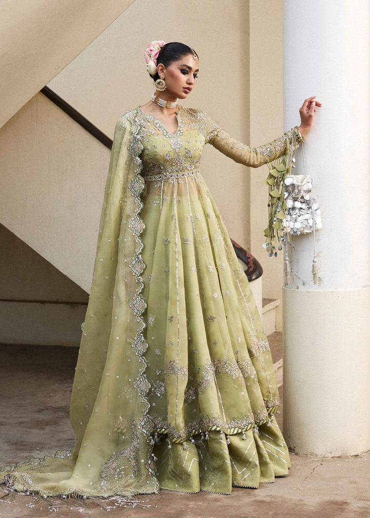 Hussain Rehar Darlings Festive Luxury Formals – Tahiri