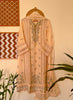 Formal Stitched/Pret Handwork & Embroidered 3PC Pakistani Suit – AN-6