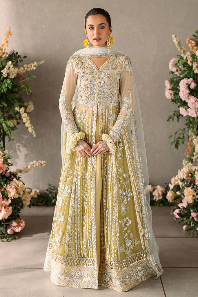 Mushq Mastani Evening Luxury Wedding Formals – Hira