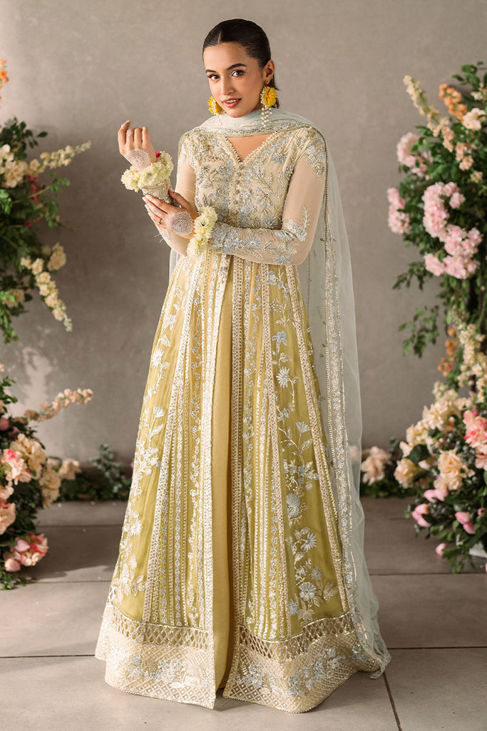 Mushq Mastani Evening Luxury Wedding Formals – Hira