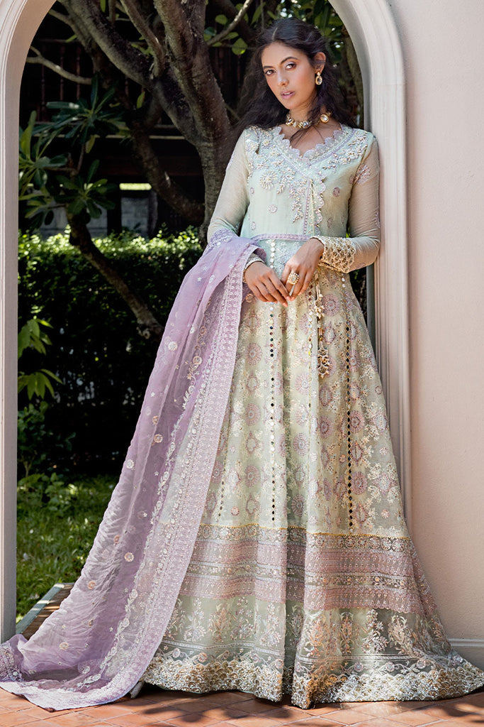 Mushq Roohi Luxury Wedding Formals – Aara