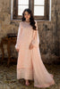 Azure Ensembles Luxury Chiffon Formals – Pink Mirage