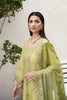 Ramsha Riwayat Summer Lawn – Y-1007