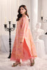 Rang Rasiya Nova Summer Lawn Edit – Rosalia