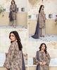 Dabiha Printed Lawn  D - 8