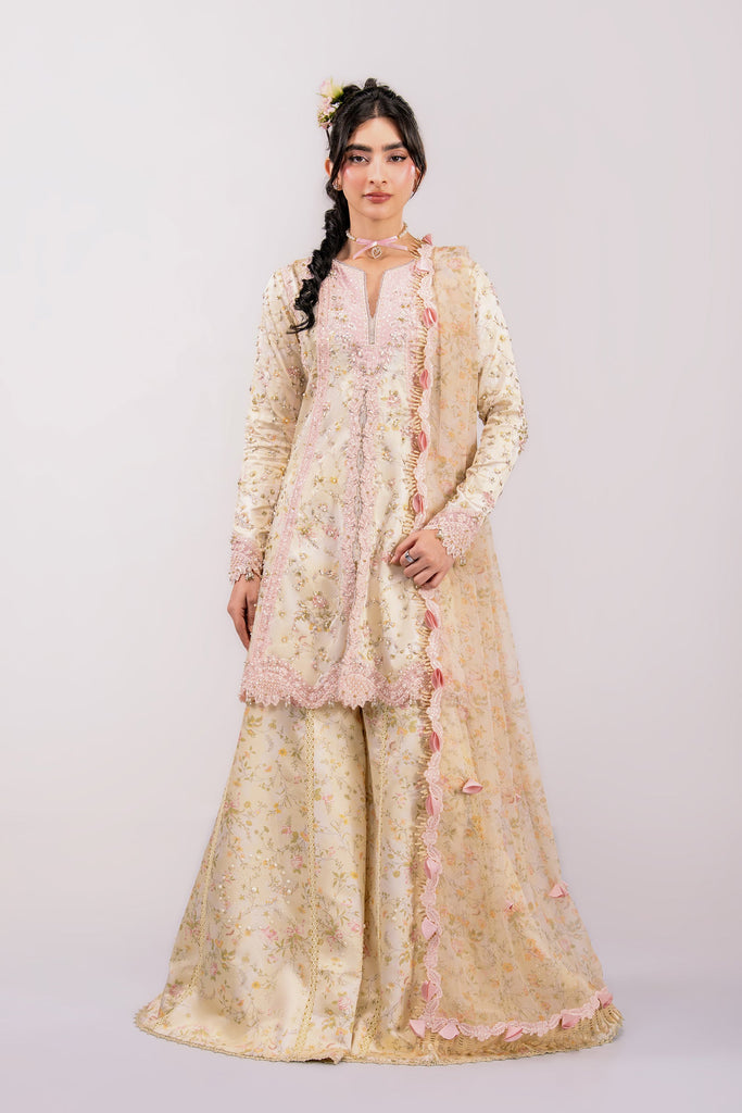Qalamkar Luxe Silk Formals – QSL-03 SOLENE