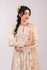 Qalamkar Luxe Silk Formals – QSL-03 SOLENE
