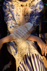 Manara Vintage Flora Summer Lawn – DURR-E-FISHAN