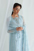 Qalamkar Chiffon Luxury Festive Formals – QCC-08 SONA