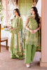 Ramsha Andaaz Lawn Vol-12 – Z-1206