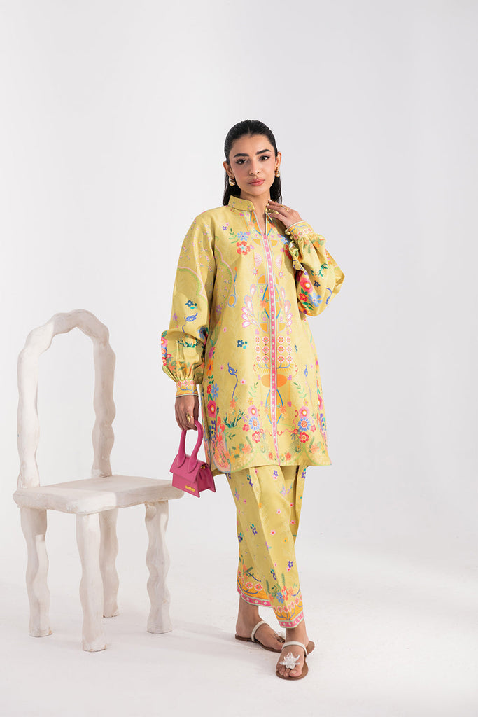 Aabyaan Signature Pair Co-ords RTW – ELARA (AX-02)