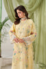 Ramsha Riwayat Lawn – Y-1506