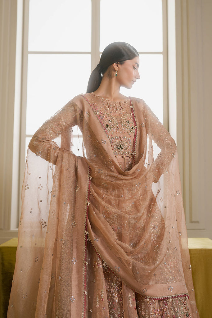 Ayzel Solaris Luxury Wedding Festive Formals – AURALIS