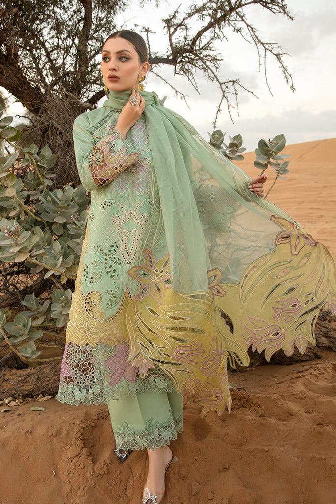 Rang Rasiya Premium Lawn Collection 2024 – Elnaz