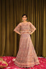 Alizeh Mehfil-e-Uroos Formal Collection – Anamta - V16D06 Embroidered Net Pink