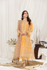 Alizeh Dhaagay Luxury Formal Collection – Zayur - V03D04