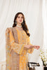 Alizeh Dhaagay Luxury Formal Collection – Zayur - V03D04