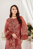 Alizeh Dhaagay Luxury Formal Collection – Ariya - V03D03