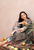 Ramsha Chevron Lawn Collection 2020 – C-402