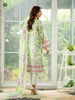 Gulljee Laleh Lawn Collection – GLL2301A5