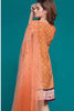 Rang Dey Lawn Collection – 13A