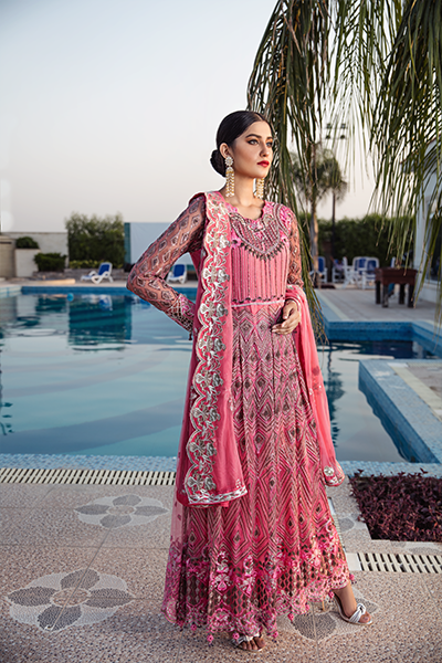 Zeenat Chiffon Collection by Zebtan Vol-3 – ZN 01