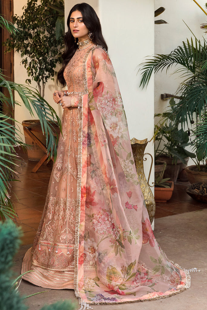 Ayzel by Afrozeh Mehar Bano Luxury Formal Collection – Elena