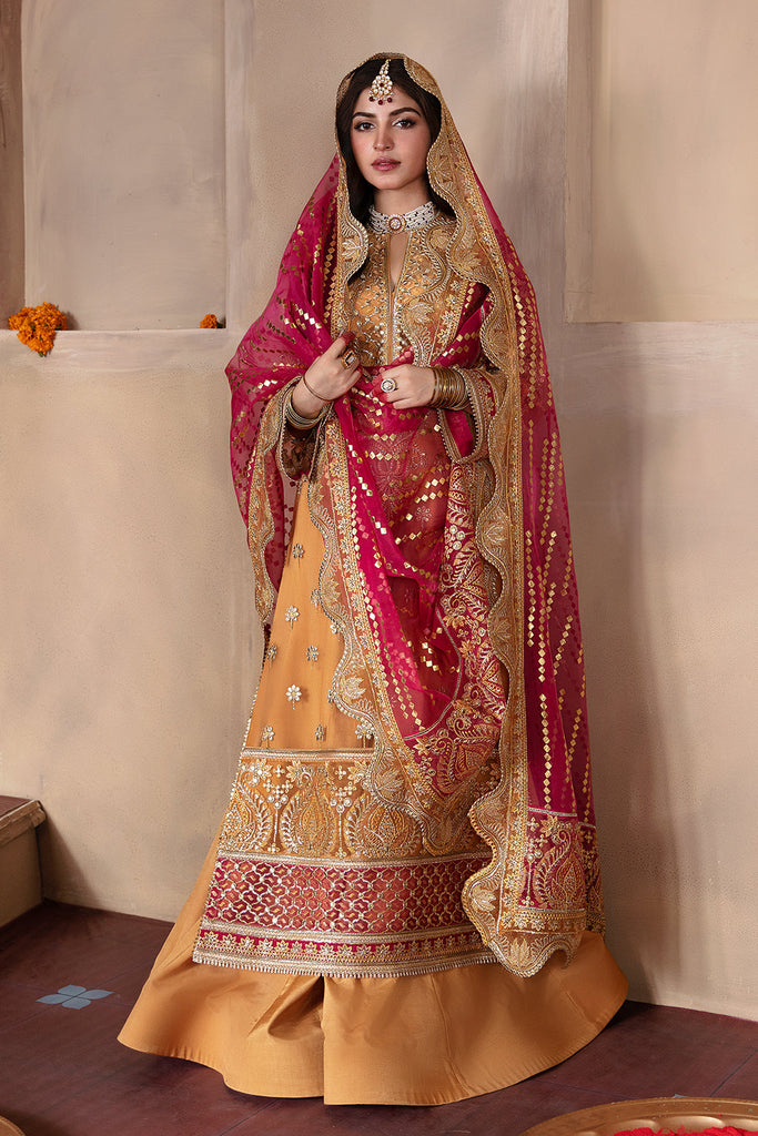 Afrozeh Shehnai Wedding Formals – Zuri