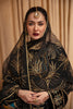 Afrozeh Naghma Luxury Velvet Collection – SHEHRBANO