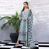 Salina Mushk Lawn Collection – RSPV-2