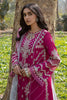 Qalamkar Qline Lawn Collection 2023 – AK-13 LARISA