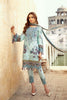 Ramsha Luxury Lawn Collection 2020 – C-208
