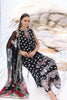 Noor by Saadia Asad Luxe Printkari Lawn 2024 – D6-A