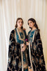 Alizeh Premium Velvet Edit – Dasht-e-naz