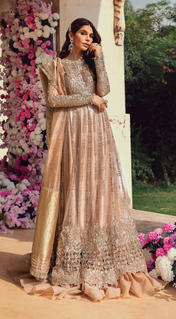 Anaya by Kiran Chaudhry · Hand Embellished & Embroidered Chiffon Collection – Radiance