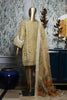 Bin Saeed · Stitched Formal Organza 2PC Collection – DN-3