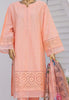 Bin Saeed Stitched Chikankari 3Pc Collection – DN-2