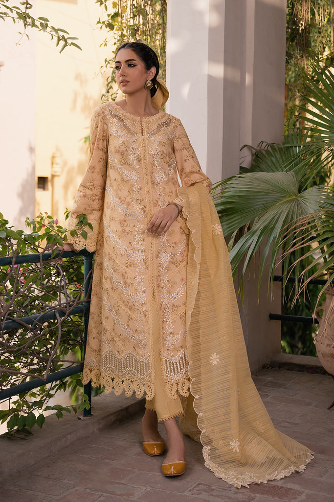 Aabyaan Shezlin Chikankari Lawn Collection – Raiya (AC-01)