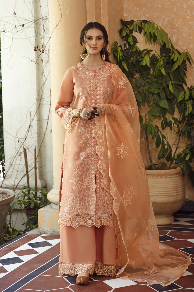 Aabyaan Meena Kumari Chikankari Eid Collection II – JAHAN ARA (AB-01)