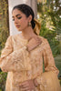 Aabyaan Shezlin Chikankari Lawn Collection – Raiya (AC-01)