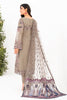 Ramsha Minhal Organza Formal Collection – M-809