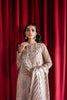Afrozeh Starlet Luxury Formal Collection – Pearl Dream