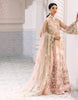 Emaan Adeel Formal Chiffon Collection Belle Robe Vol-3 – BL 309