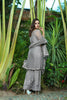 Rangreza Embroidered Chiffon Collection by Emaan Adeel – Moon Shine