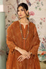 Alizeh Dhaagay Festive Formal Collection – Larisa - V02D05