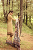 Noor Winter Collection 2017 by Saadia Asad – 05 Caramel De Nude