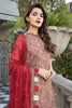 Alizeh Mahyar Embroidered Chiffon Festive Edition – Naurattan