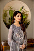 Alizeh Mahyar Embroidered Chiffon Festive Edition – Nayeli